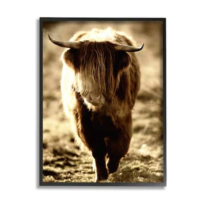 Stupell Sunlit Highland Longhorn Cattle Wandering Rural Countryside Framed Wall Art, Design by James Dobson