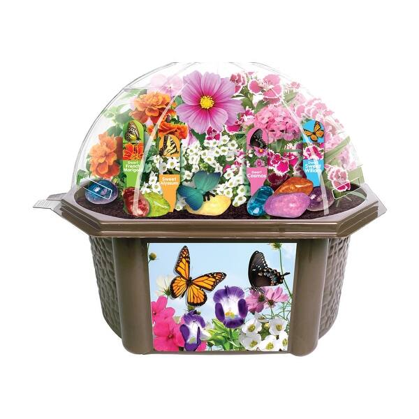 slide 2 of 6, Biosphere Terrarium - Bountiful Butterfly Garden - N/A