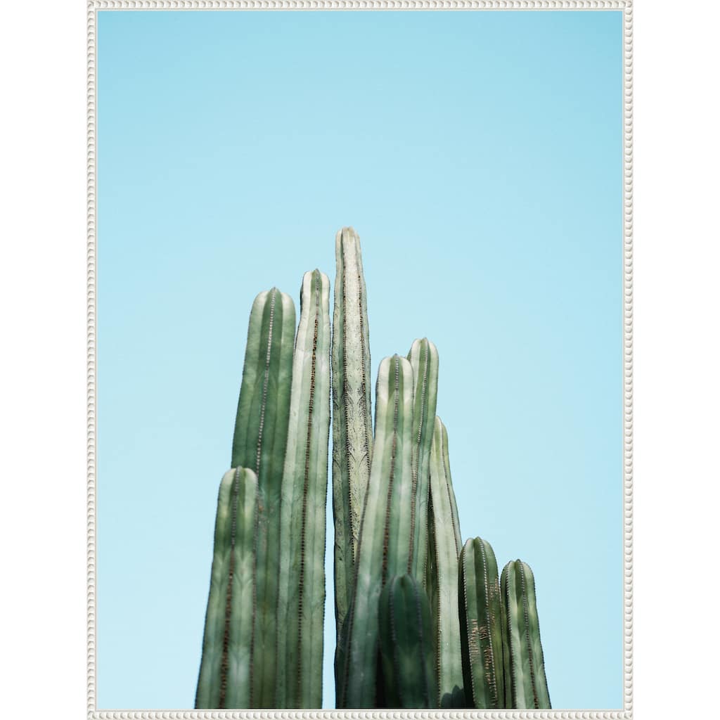 Tall Cacti by Raisa Zwart Framed Canvas Wall Art Print - Sylvie Beaded White