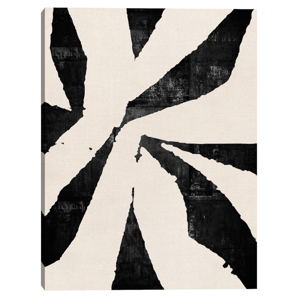 Black Star by Nikki Chu Canvas Art Print