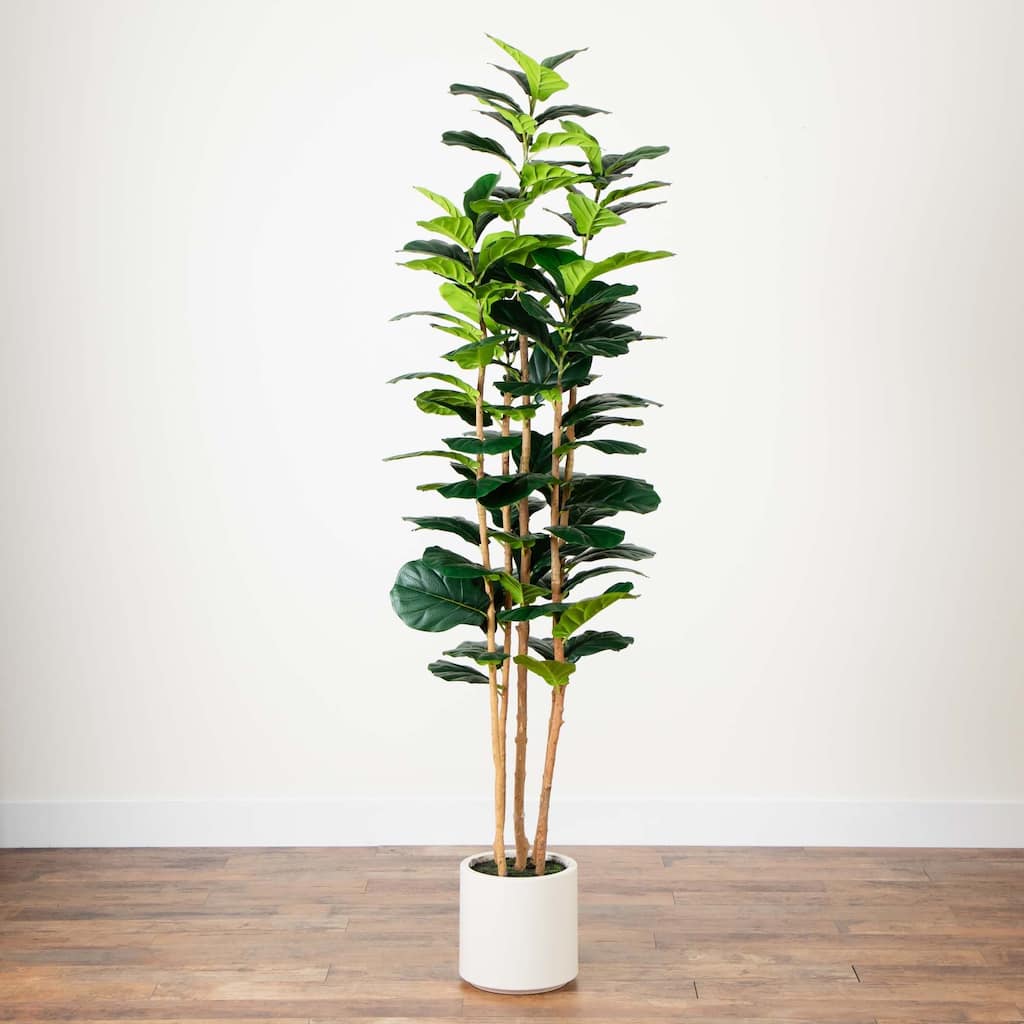 Potted Artificial Fiddle Leaf Tree in Planter - 7'