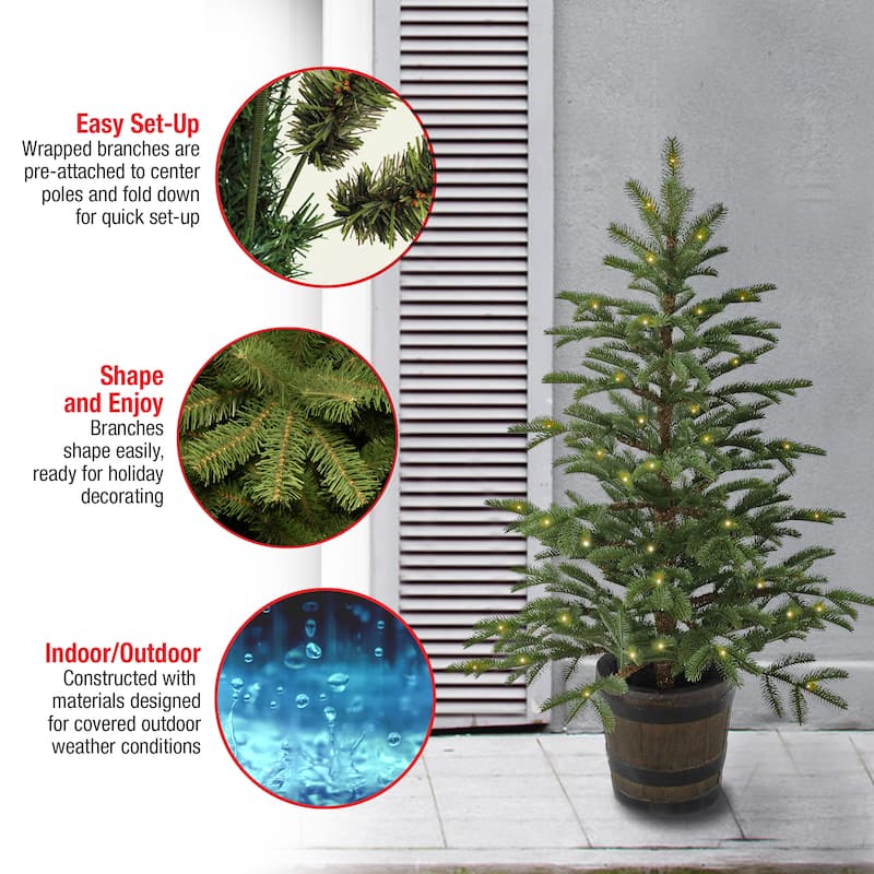 National Tree Company 4 ft. Norwegian Spruce Entrance Tree with Clear Lights - 4 Foot