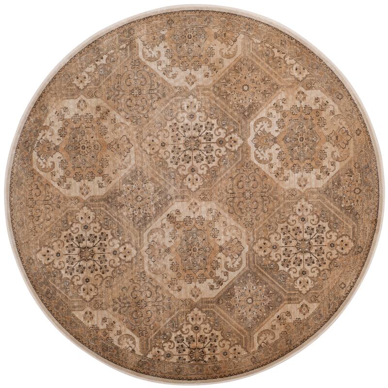 SAFAVIEH Vintage Distressed Boho Madlaina Oriental Rug