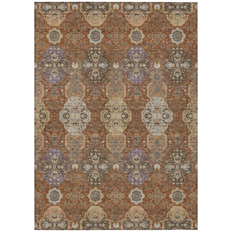 Machine Washable Indoor/ Outdoor Traditional Tracey Chantille Rug