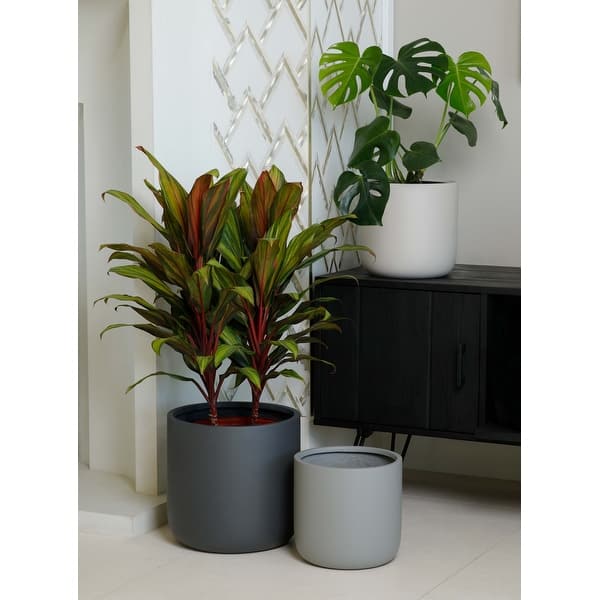 planter liners plastic Kitchen Collection Crock Pot Liners