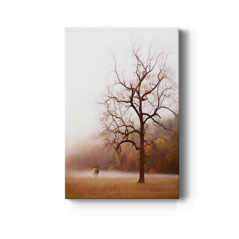 Photography Study Elk in the Mist Premium Gallery Wrapped Canvas - Ready to Hang - 32X48