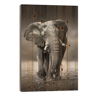 Elephant Approach From the Front Print On Wood by Johan Swanepoel - Multi-Color