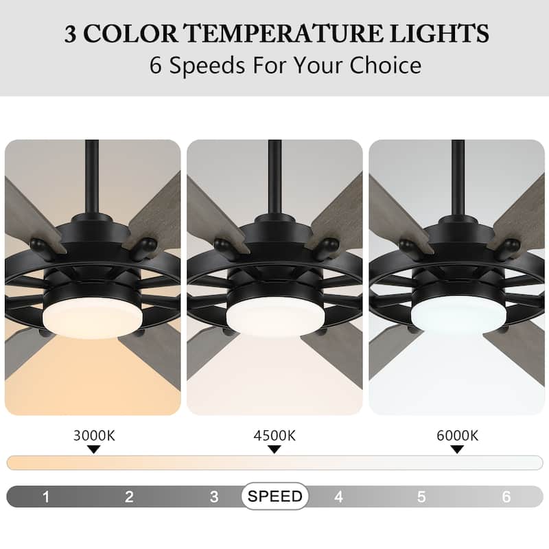 WINGBO 60-inch/72-inch 8-Blades Indoor DC Motor Ceiling Fan With LED Light and Remote Control
