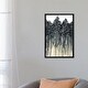 preview thumbnail 6 of 13, iCanvas "Forest Through The Trees II" by Julia Di Sano Framed
