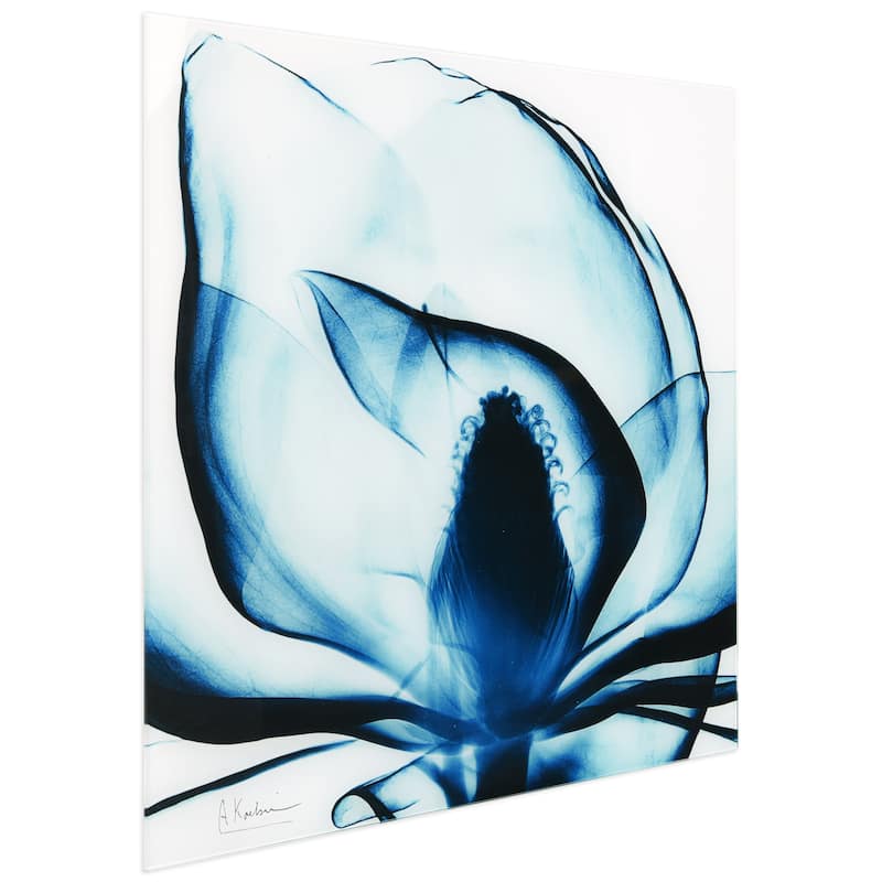 Empire Art Direct "Blue Magnolia x-ray" Frameless Floating Glass Panel Art - Blue