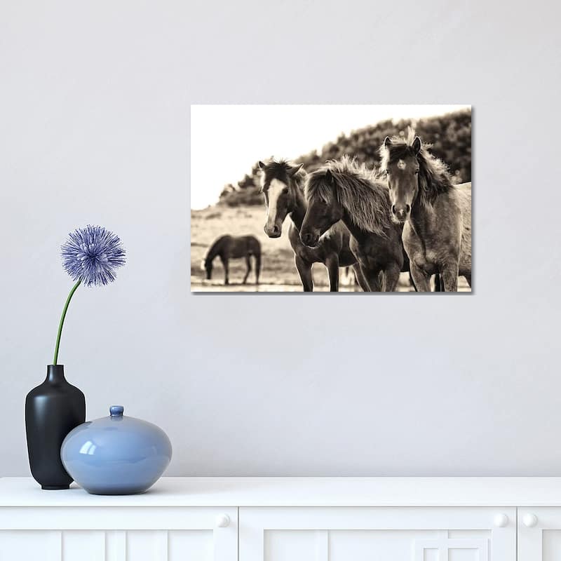 iCanvas "Horses Three Sepia" by Aledanda Canvas Print - 12x18x1.5