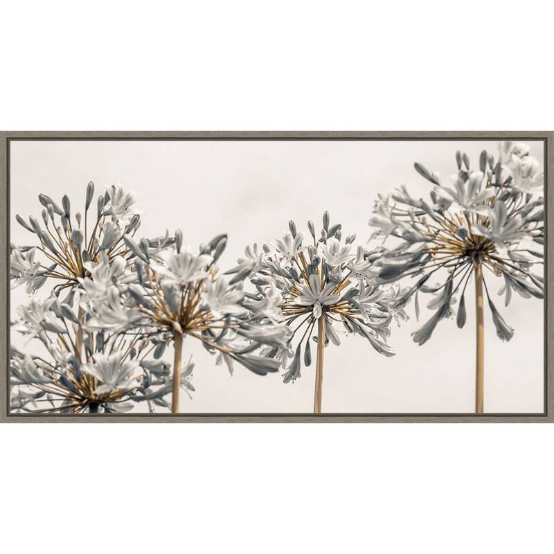 African Lily Flowers II by Assaf Frank (27 x 14 in.), Framed Canvas Wall Art Print - Sylvie Greywash