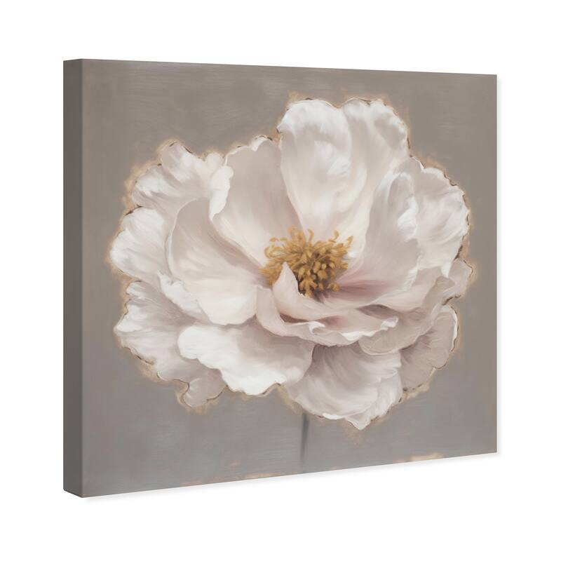 Wynwood Studio Canvas Floral and Botanical Soft Creamy Flower White and French Country Wall Art Canvas Print - White, Gray