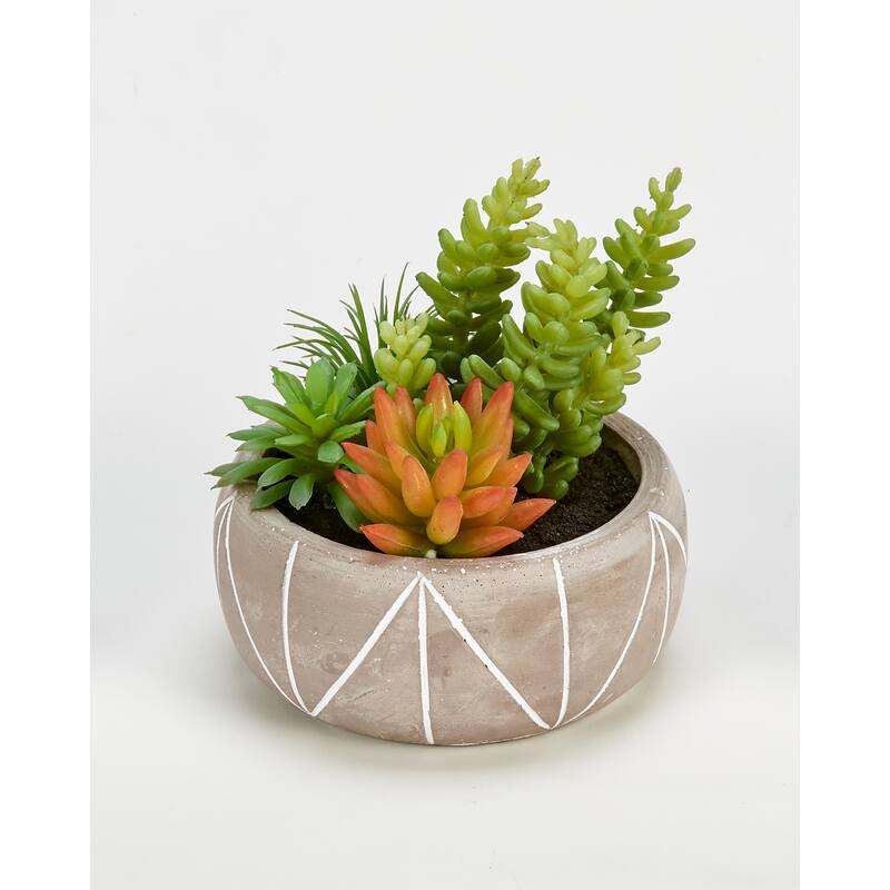 Mixed Artificial Succulents in 5" Pot Geometric Lines - Green - 5