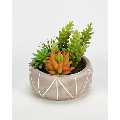 Mixed Artificial Succulents in 5" Pot Geometric Lines - Green - 5