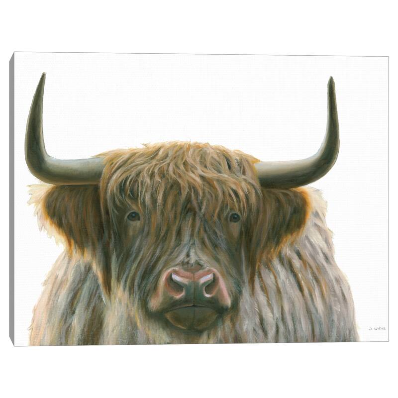 Highlander by James Wiens Canvas Art Print