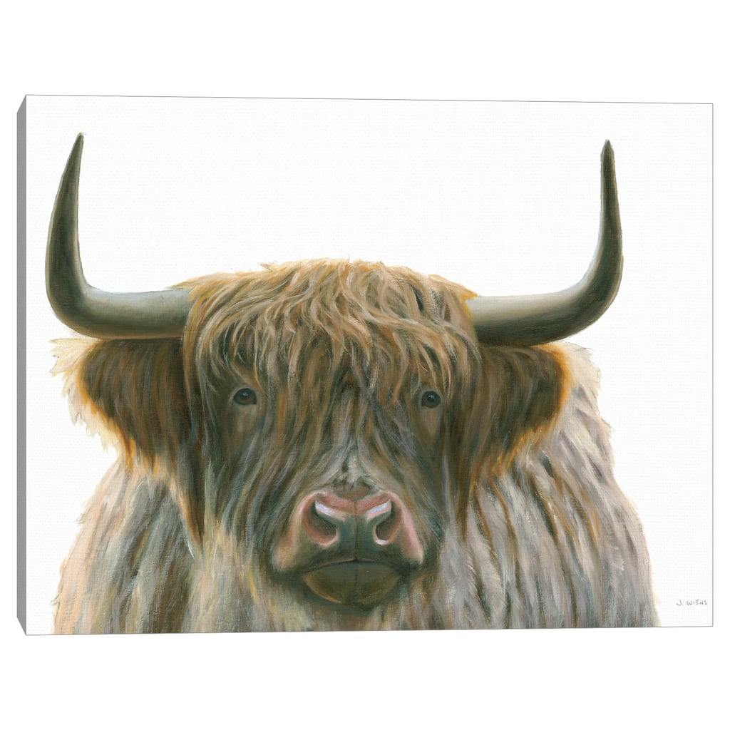 Highlander by James Wiens Canvas Art Print