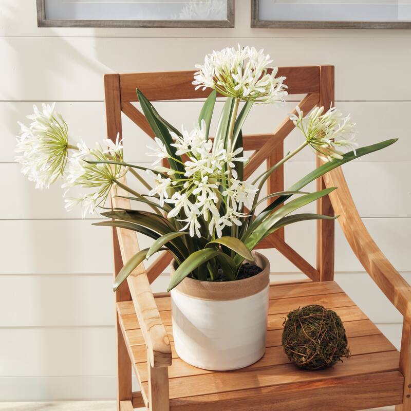 Agapanthus Drop-In 29"