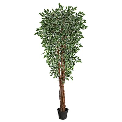 70" Variegated Ficus Artificial Tree UV Resistant (Indoor/Outdoor) - 6"