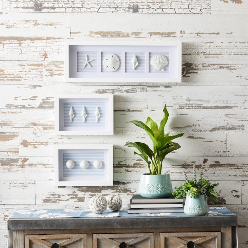 Sand Dollar and Shells Print Framed Wall Plaques - 26.5" - Set of 3