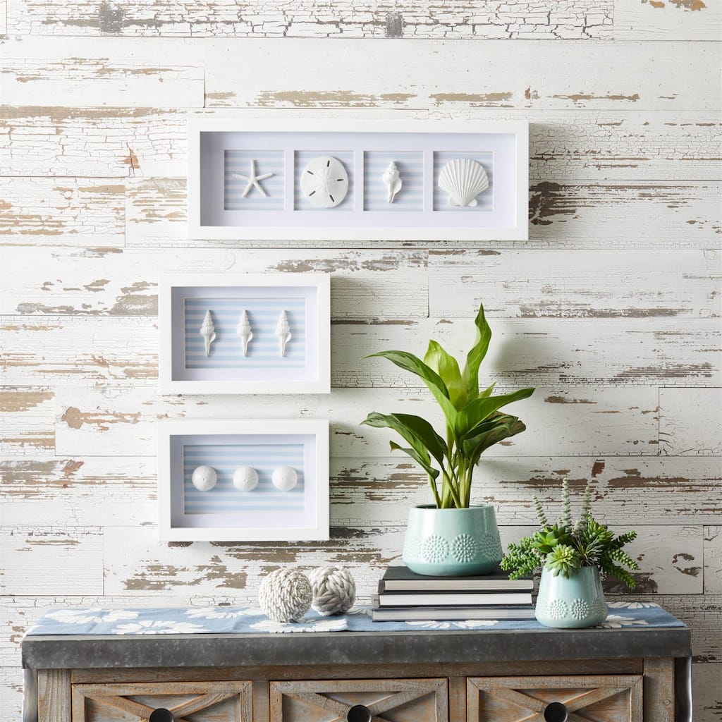 Sand Dollar and Shells Print Framed Wall Plaques - 26.5" - Set of 3