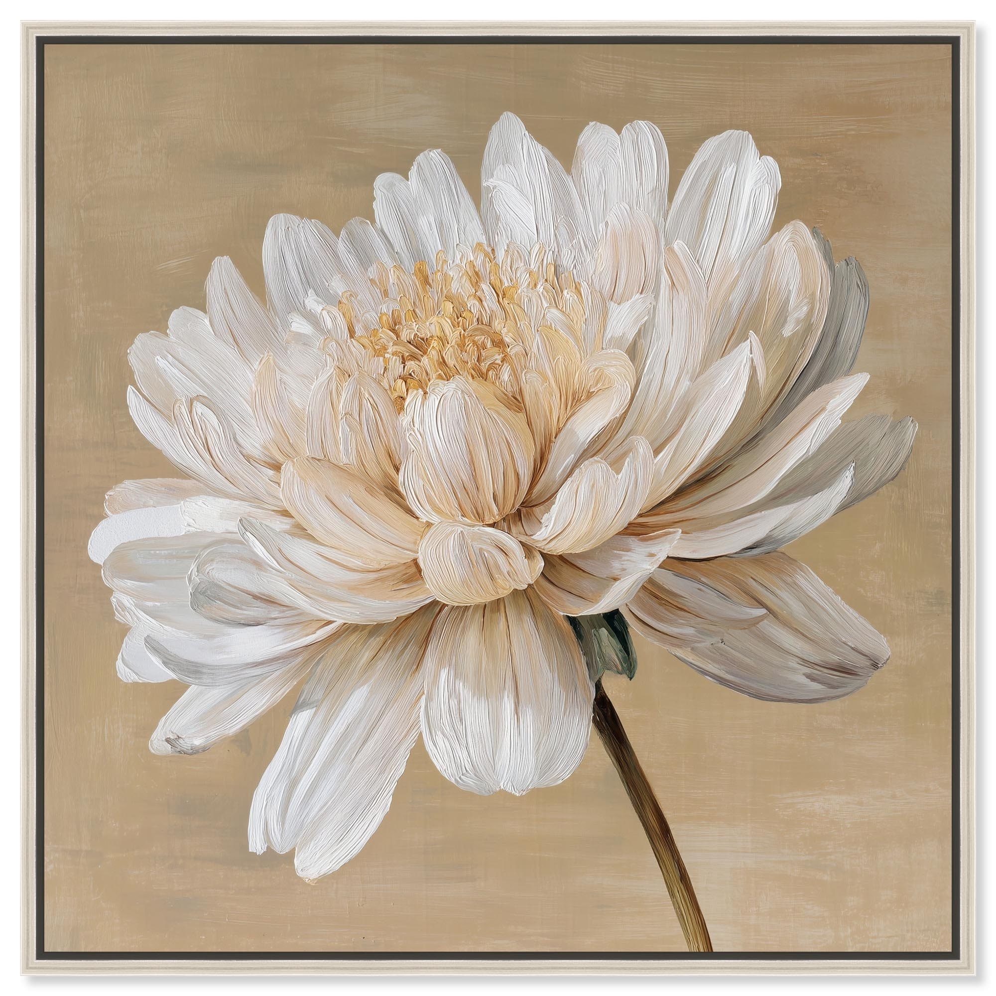 White Radiance II Floral Wall Art Canvas Print by Art Remedy