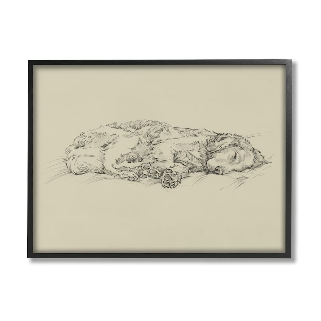 Stupell Serene Dog Sleep Soft Cushion Monochrome Sketch Portrait Framed Wall Art, Design by Ethan Harper - Black