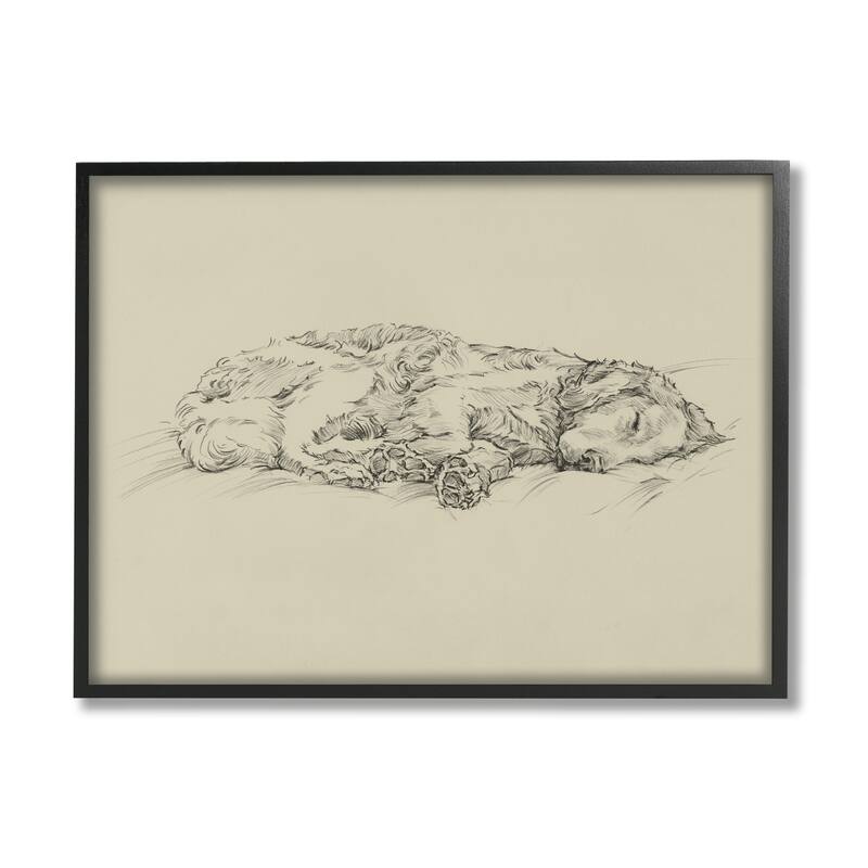 Stupell Serene Dog Sleep Soft Cushion Monochrome Sketch Portrait Framed Wall Art, Design by Ethan Harper - Black - 20 x 16 - Black