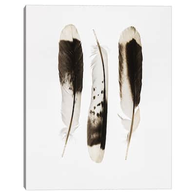 Three Feathers by Nancy Crowell Canvas Art Print