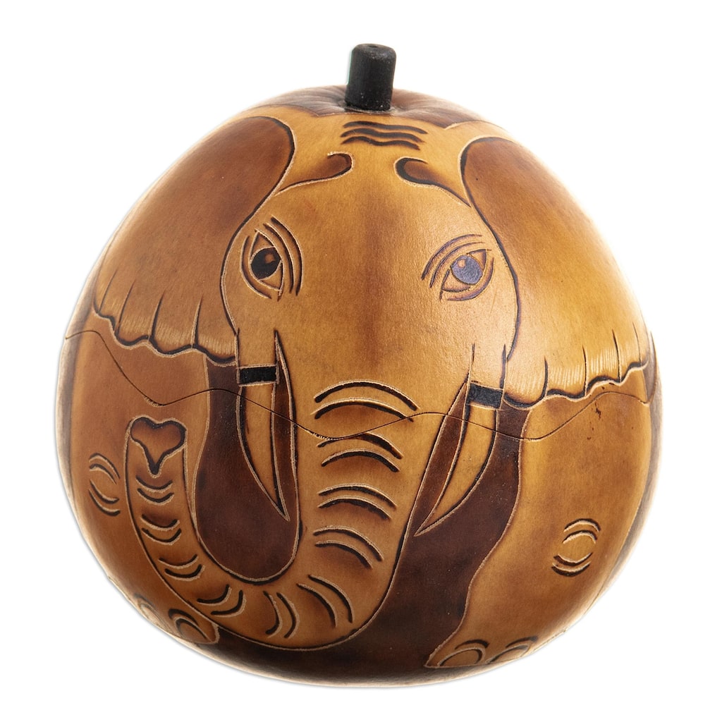 Novica Handmade Earth Tone Elephant Dried Mate Gourd Decorative Box