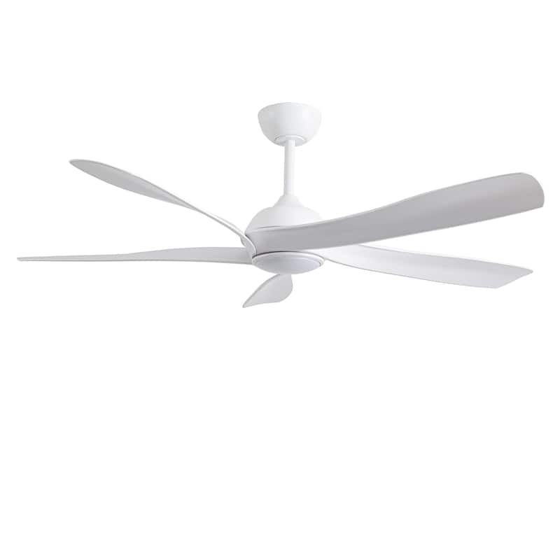 Fergus 5-Blade Lighted Ceiling Fan with LED Lamp with Remote