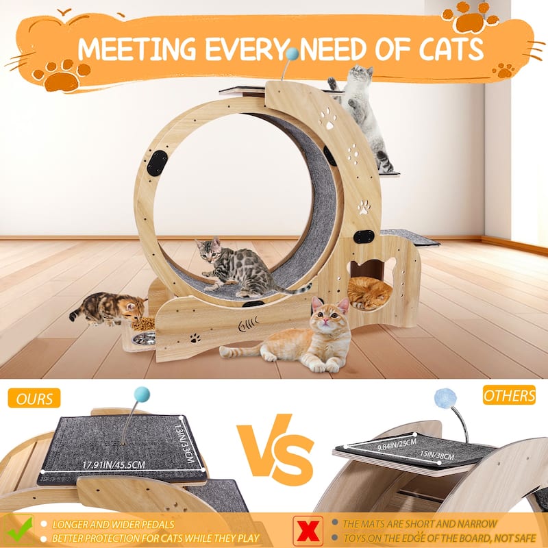 Engaging 4 in 1 Cat Exercise Wheel for Fitness and Entertainment - Natural
