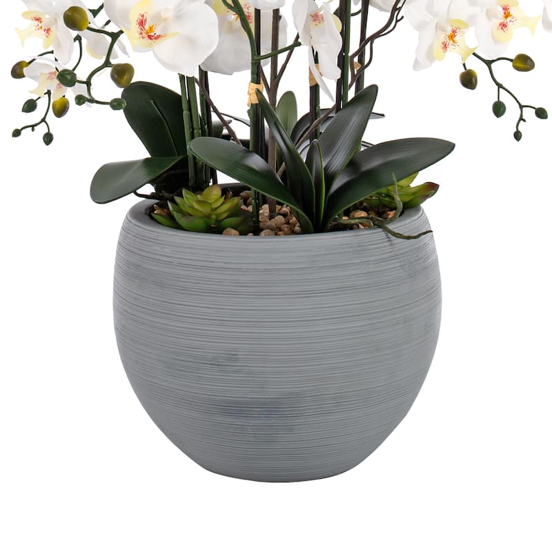 9 Stems Nearly Natural White Phalaenopsis Orchids with Succulents in White Magnesium Oxide Pot - 36.22" H x 35.43" W x 35.43" D