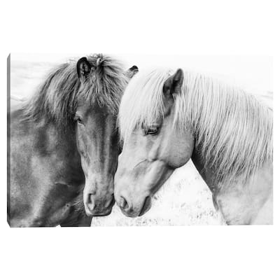 Horse Love by Sisi and Seb Canvas Art Print
