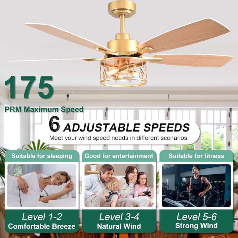 Cusp Barn 52 Inch Industrial Caged Ceiling Fan with Light and Remote, Farmhouse Quiet DC Motor Reversible Chandelier Ceiling Fan