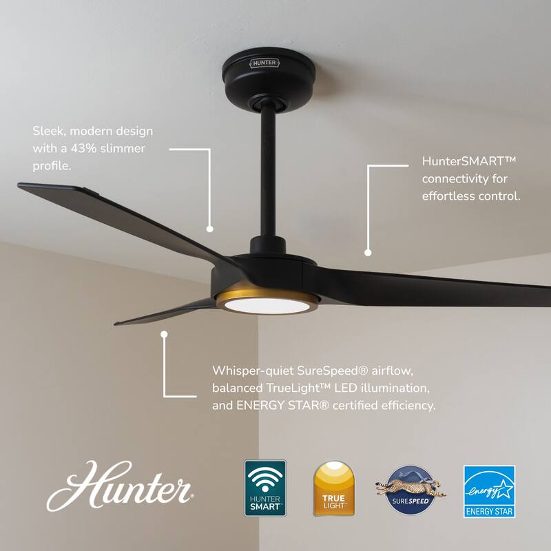 Hunter ZenTech Indoor / Outdoor 3-Blade Smart Ceiling Fan w/ LED Light and Handheld Remote - Modern & Contemporary.