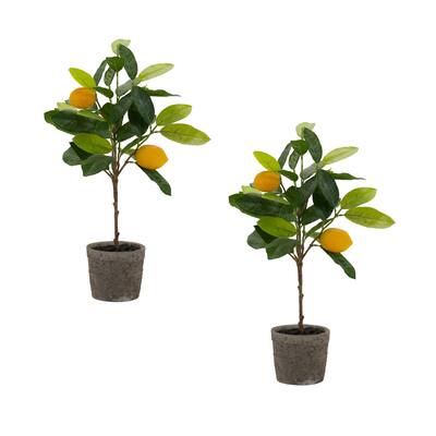 Potted Lemon Tree (Set of 2) - 13.5 x 10 x 19.5; 4.25 x 4.25 x 4