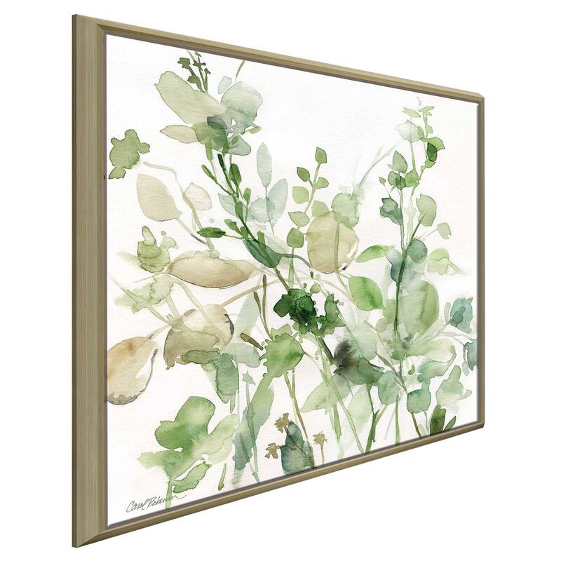 "Sage Garden II" by Carol Robinson Print on Floating Canvas