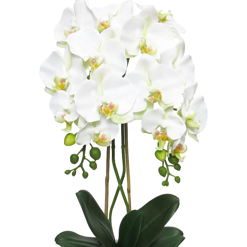 Cream White Artificial Phalaenopsis Orchid Flower Arrangement in White Modern Ceramic Pot 25in - 25" H x 10.5" W x 10.5" DP