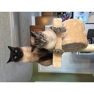 Shop Go Pet Club 62 Inch Cat Tree Overstock 6735202