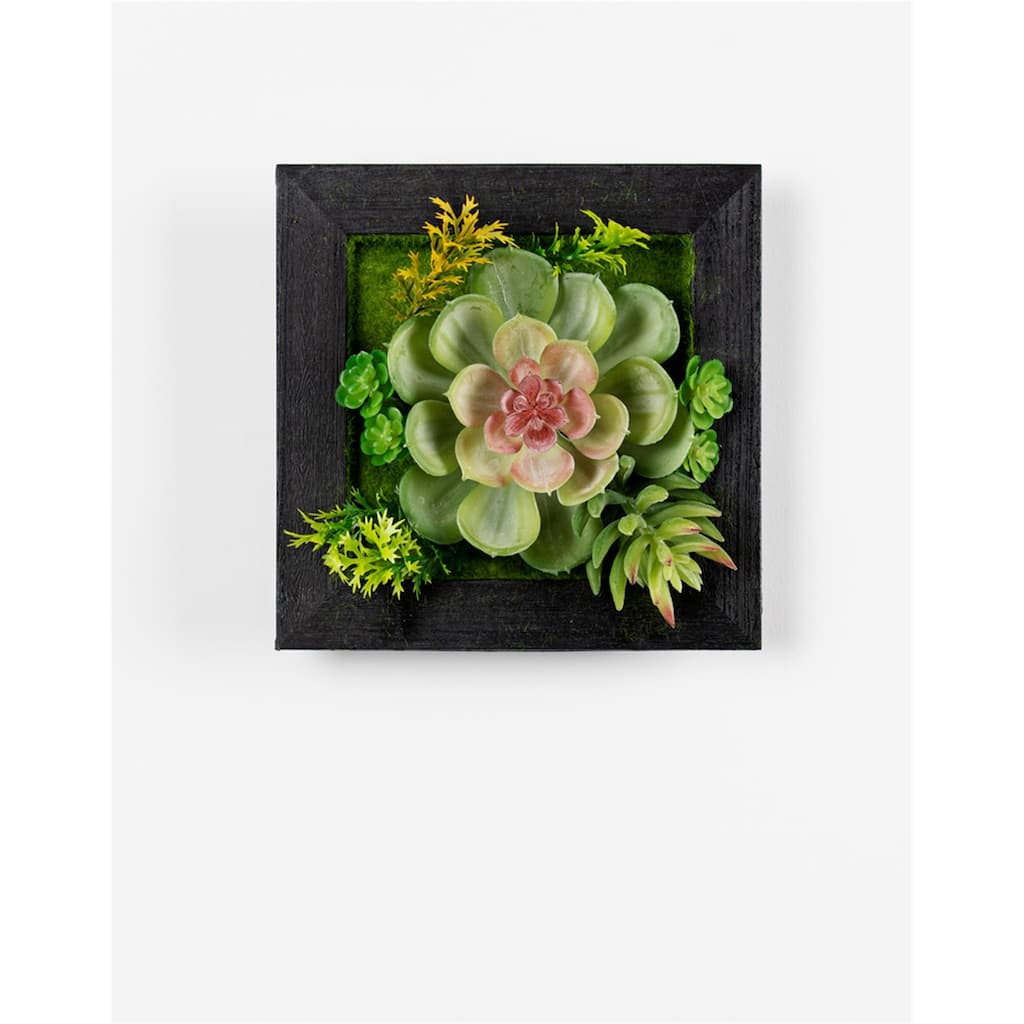Hanging Succulent Box Wall Décor (Set of 6)