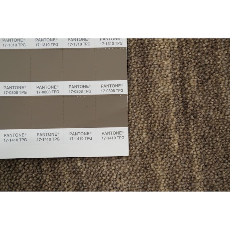 Hand Knotted Oriental 100% Wool Carpet Tribal Animal Pictorial Brown Gabbeh Area Rug - 8' 0'' X 8' 0''