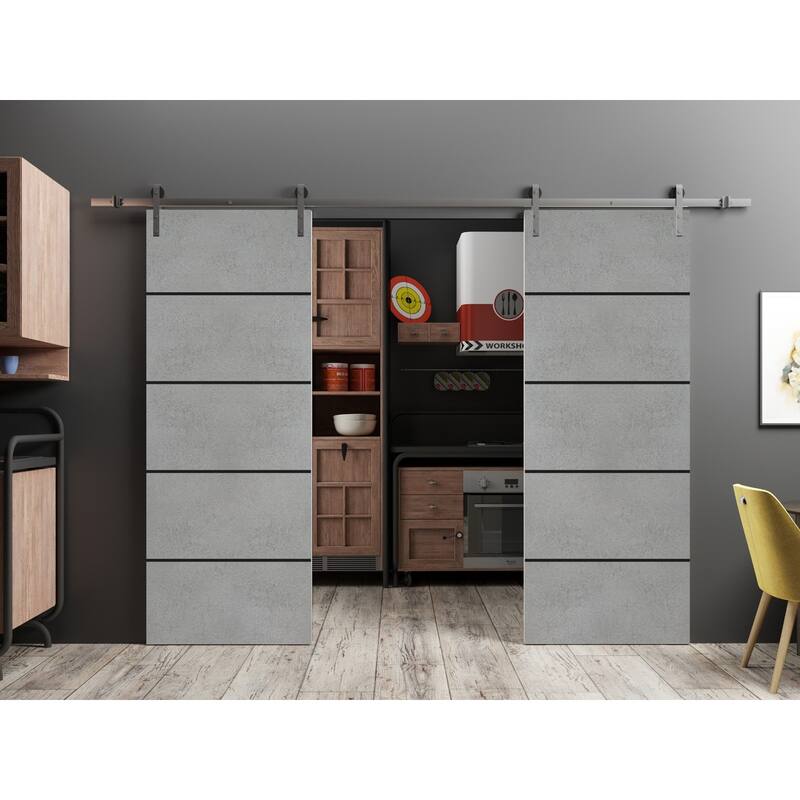 Sturdy Double Barn Door 36 x 80 with Planum 0015 Concrete with 13FT