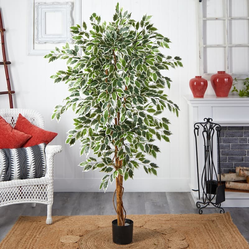 Hawaiian Vintage Tree - 6Ft Tropical Decor - Lush Green White Foliage - Indoor Plant - Home Office Gift - 6ft.