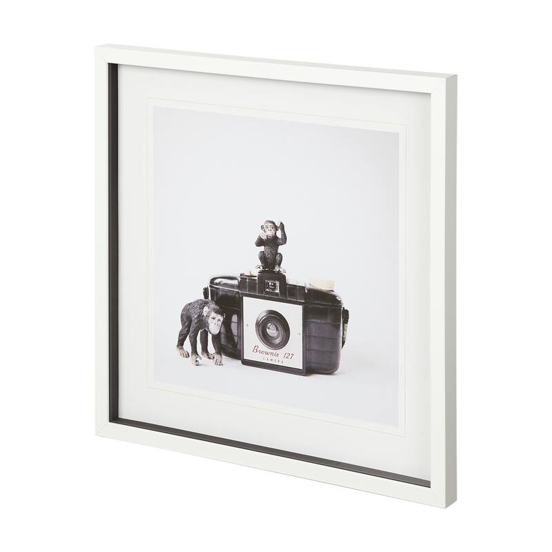 Monkeys & Vintage Camera Framed Art Print