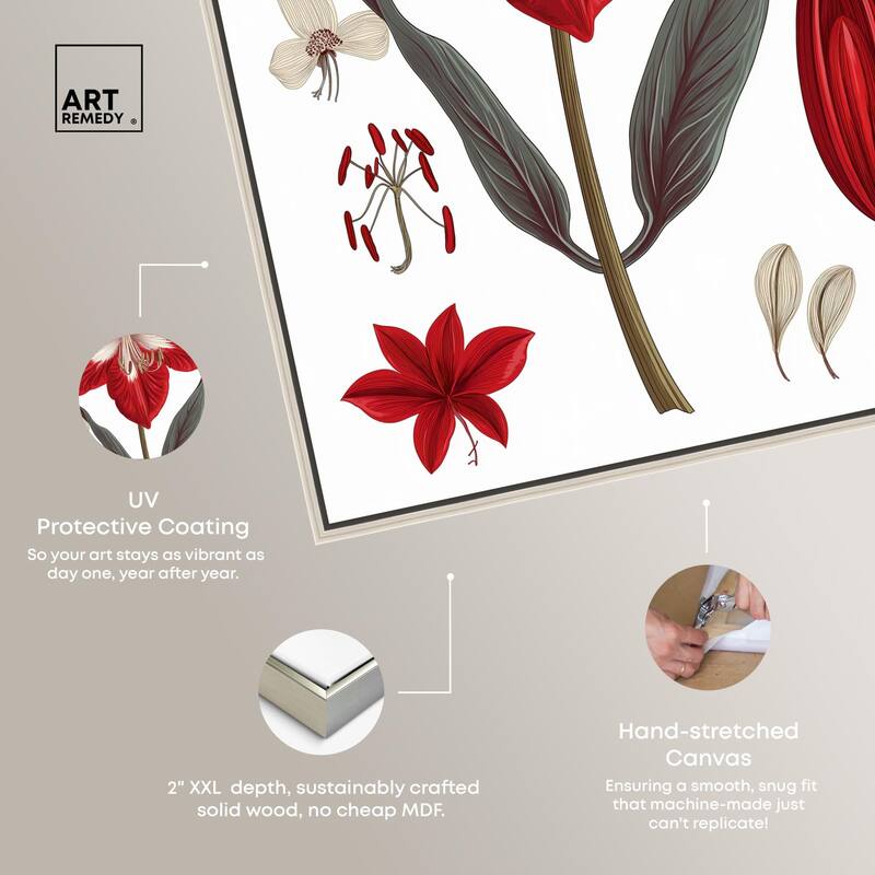 Amaryllis Anatomy Canvas by Art Remedy
