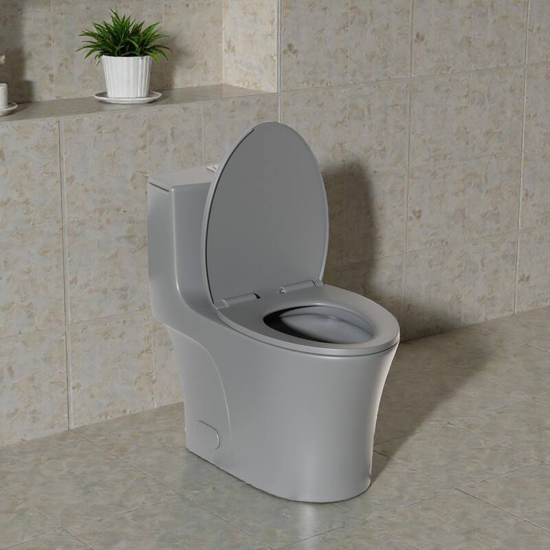 One Piece Elongated Toilet Tornado Flush. ADA Height 17 Inch. Dual Flush 1.1 1.6 GPF. MAP 1000g