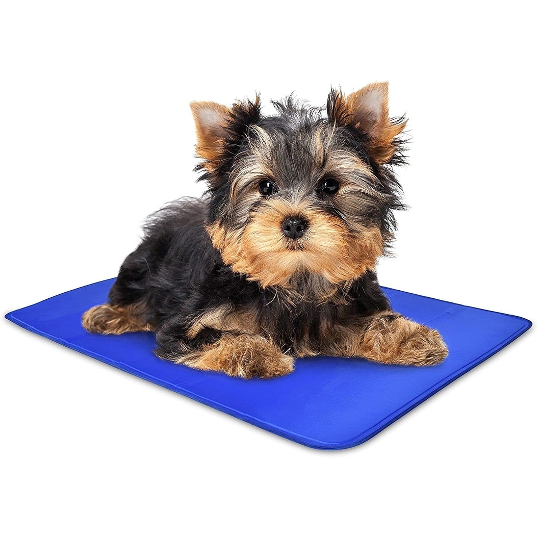 Bed bath and 2025 beyond pet cooling mat