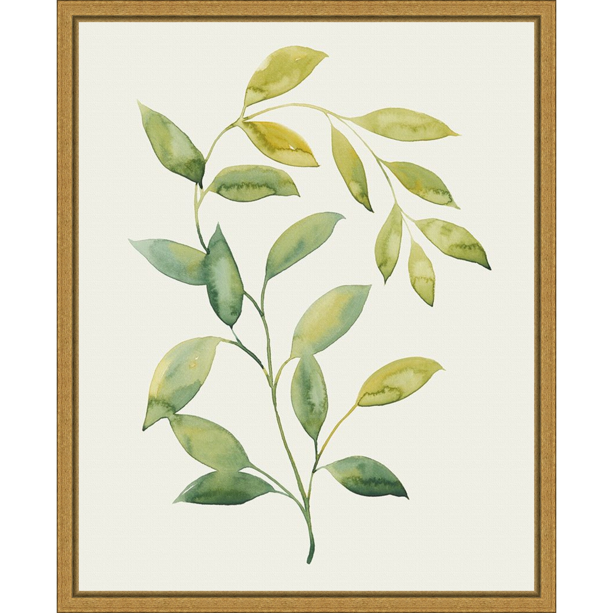 Amanti Art Wilted Vine I by Grace Popp Framed Canvas Wall Art Print - Sylvie Gold