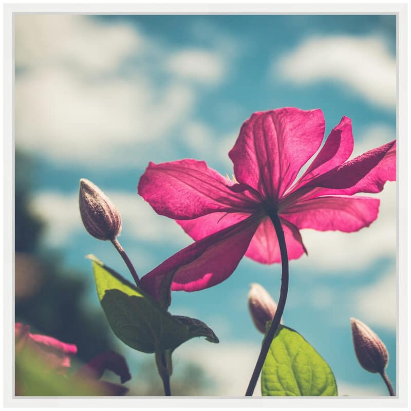 Kate and Laurel Sylvie Flower in the Sky Framed Canvas by Stephanie Klatt